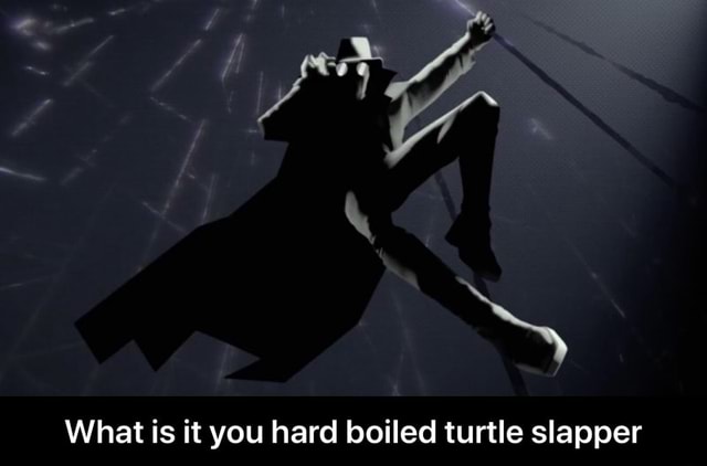 Turtle Slapper What is it you hard boiled turtle slapper - iFunny