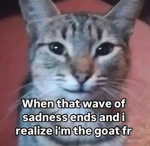 When that wave of sadness ends andi realize i'm the goat fr - iFunny