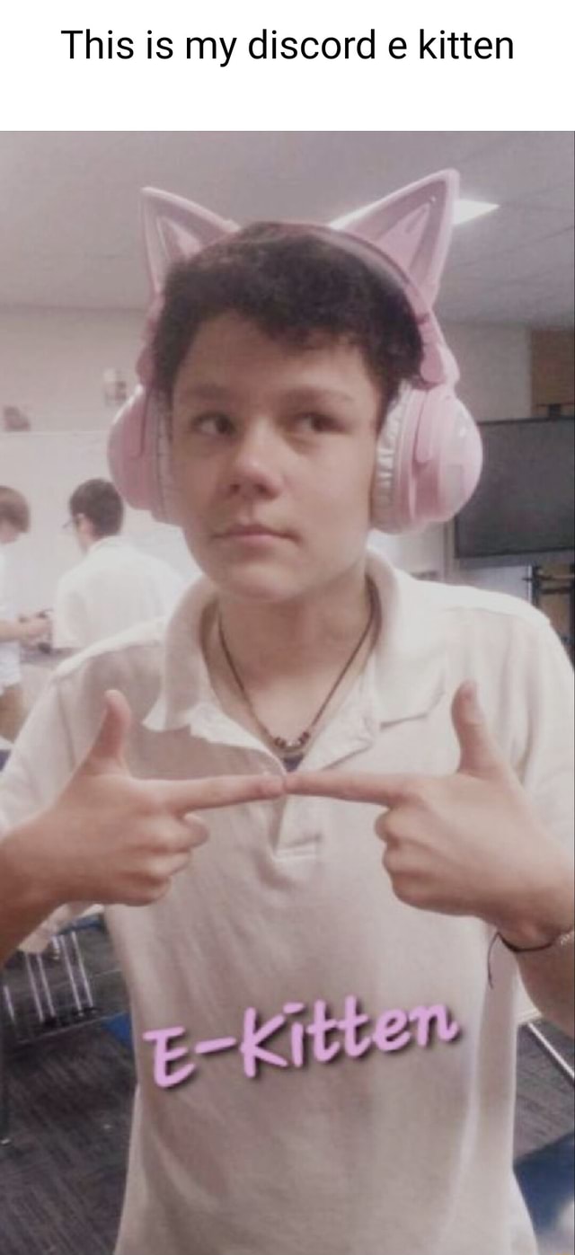 This is my discord e kitten - iFunny Brazil