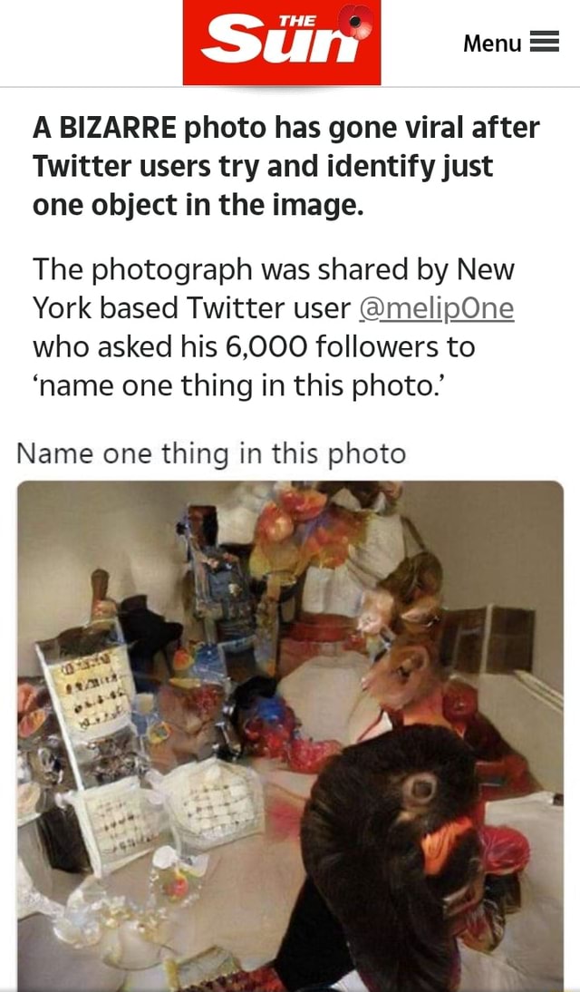 Menu The A Bizarre Photo Has Gone Viral After Twitter Users Try And Identify Just One Object In The Image The Photograph Was Shared By New York Based Twitter User Melipone