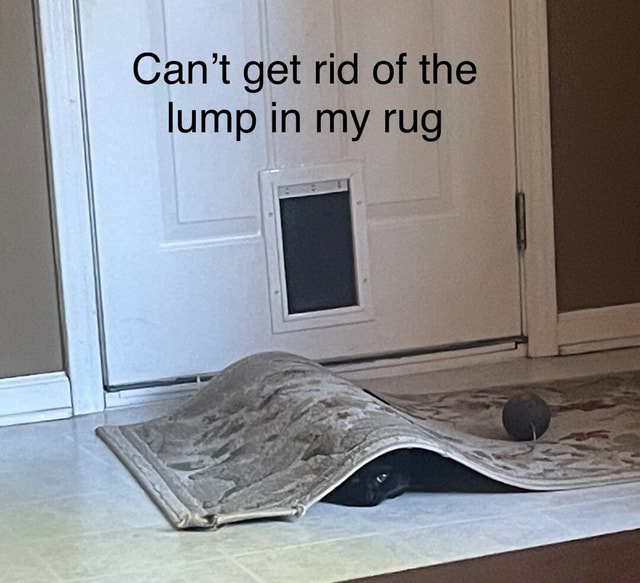 Can't get rid of the I lump in my rug iFunny