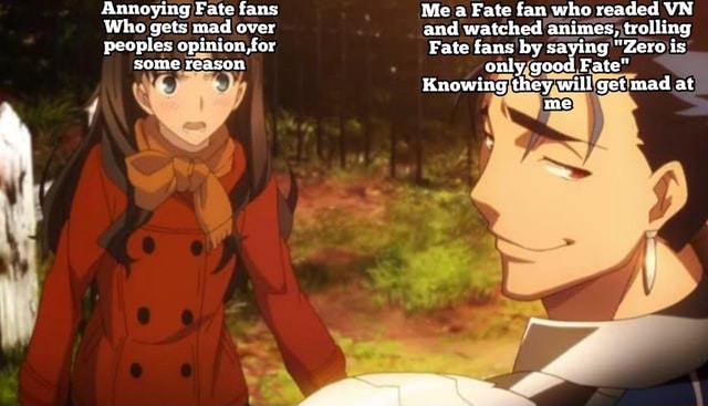 Annoying Fate fans Me a Fate fan who readed VN Who gets mad over and ...
