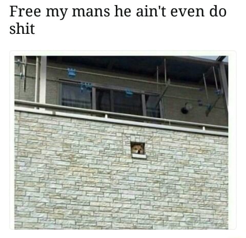 Free My Mans He Ain T Even Do Shit