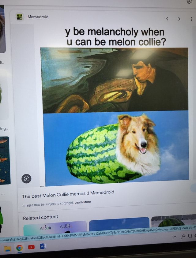 Memedroid y be melancholy when can be melon collie? ing The best Melon