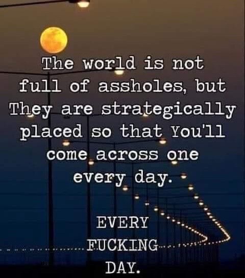 The World Is Not Full Of Assholes, But They Are Strategically Placed So 