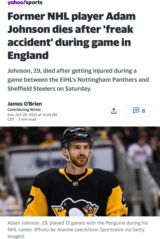 Former Nhl Player Adam Johnson Dies After Freak Accident During Game