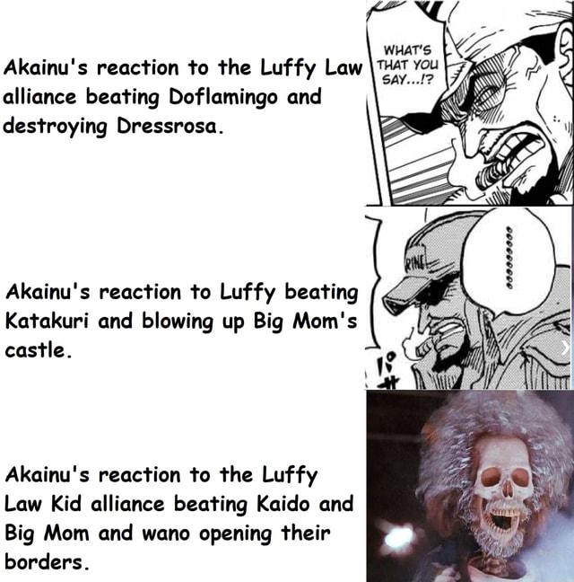 Akainu's Reaction After Finding Out Luffy Defeated Kaido and Became More  Powerful - One Piece - BiliBili