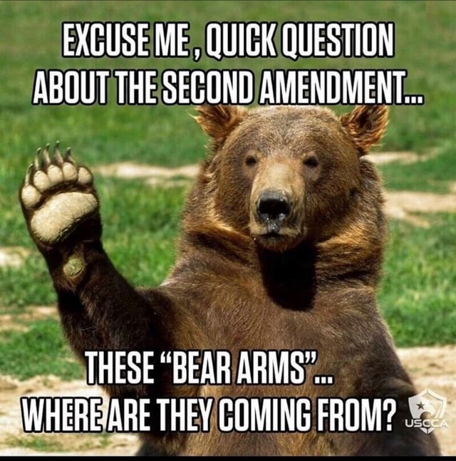 EXCUSE ME , QUICK QUESTION ABOUT THE SECOND AMENDMENT... JHESE "BEAR