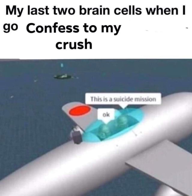 My last two brain cells when I 90 Confess to my crush - iFunny