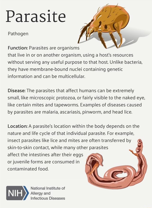 parasite-pathogen-function-parasites-are-organisms-that-live-in-or-on