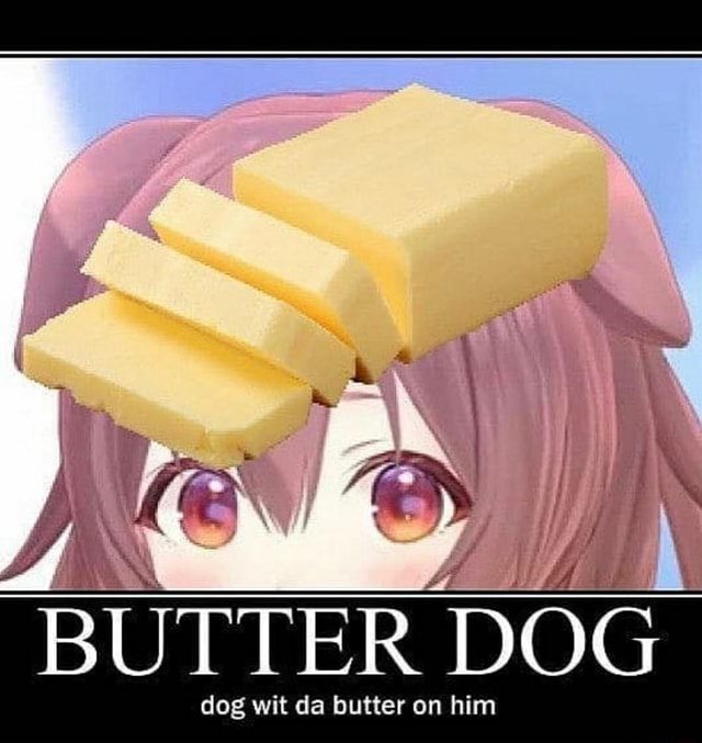 BUTTER DOG dog wit da butter on him iFunny