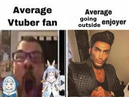 Average Average Vtuber fan enjoyer - iFunny Brazil