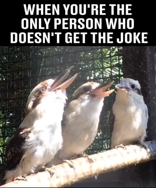 WHEN YOU'RE THE ONLY PERSON WHO DOESN' T GET THE JOKE - iFunny