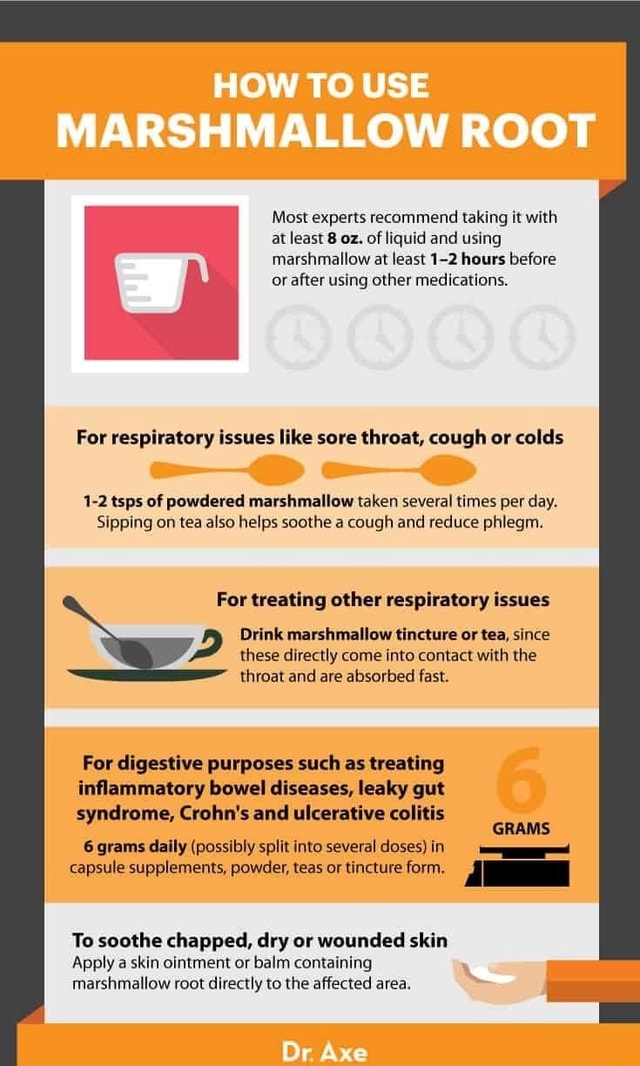 HOW TO USE MARSHMALLOW ROOT Most experts taking it with at