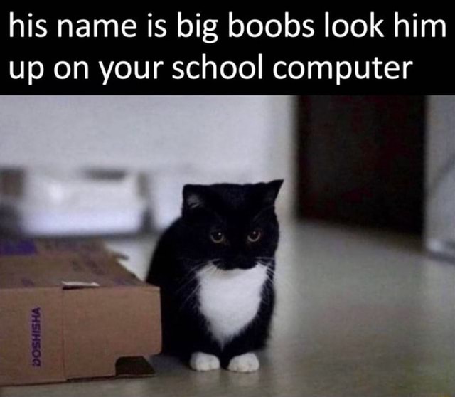 his-name-is-big-boobs-look-him-up-on-your-school-computer-ifunny