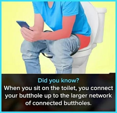 Did you know? When you sit on the toilet, you connect your butthole up ...