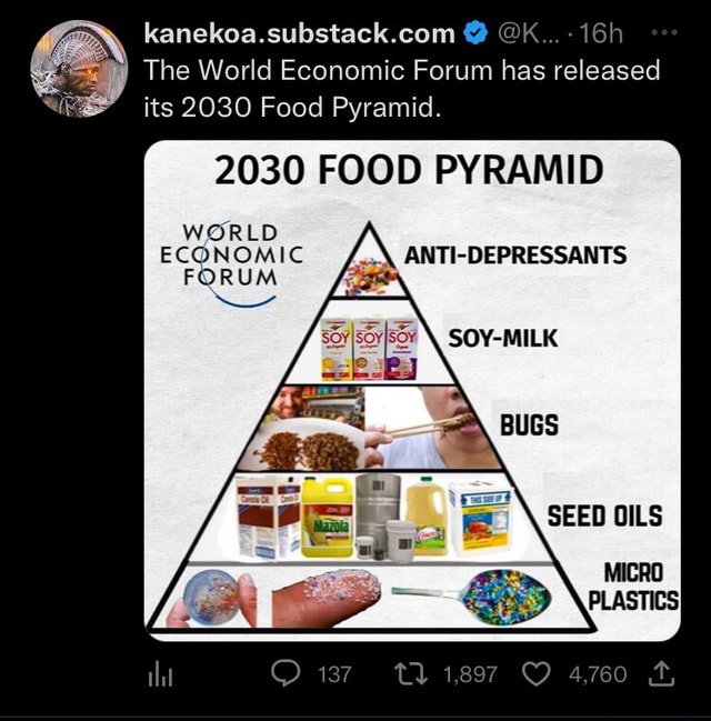 @K...- The World Economic Forum has released its 2030 Food Pyramid. 2030 FOOD PYRAMID WORLD ...