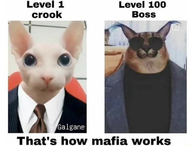 Level 1 Level 100 crook Boss That's how works - iFunny Brazil