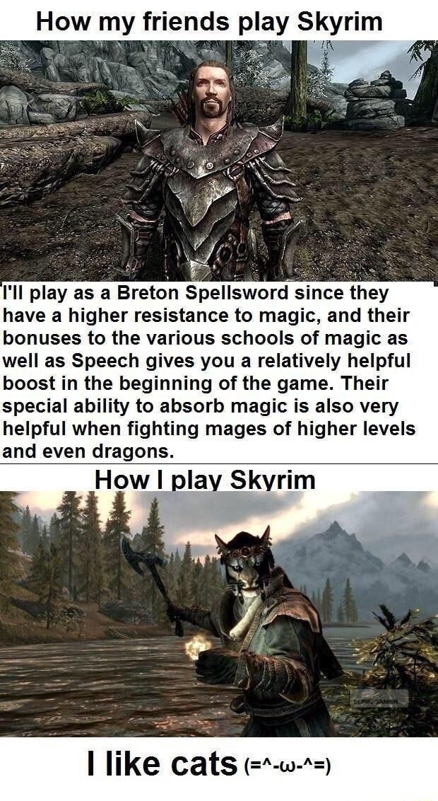 How my friends play Skyrim I'll play as a Breton Spellsword since they ...