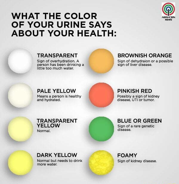 what-the-color-of-your-urine-says-about-your-health-transparent-sign