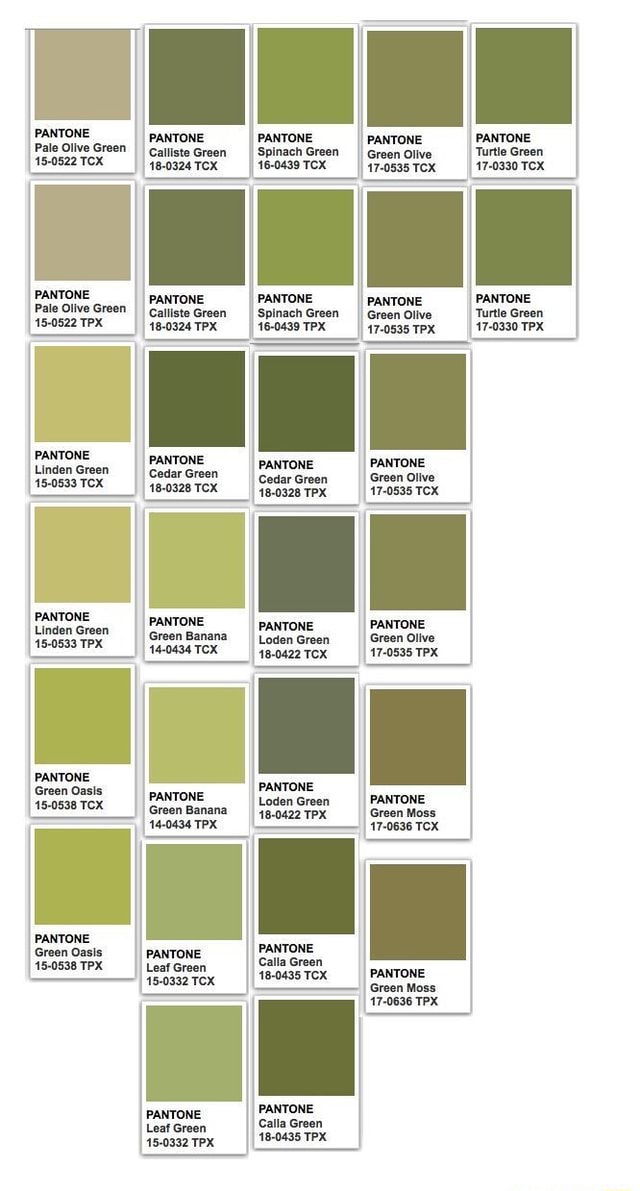 pantone-pale-olive-green-15-0522-tcx-pantone-pale-olive-green-15-0522