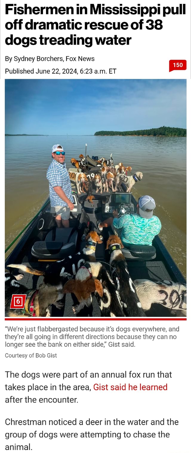 Fishermen in Mississippi pull off dramatic rescue of 38 dogs treading ...