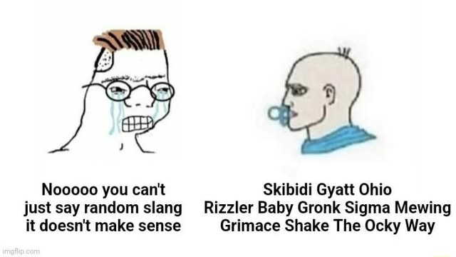 Nooooo you can't Skibidi Gyatt Ohio just say random slang Rizzler Baby