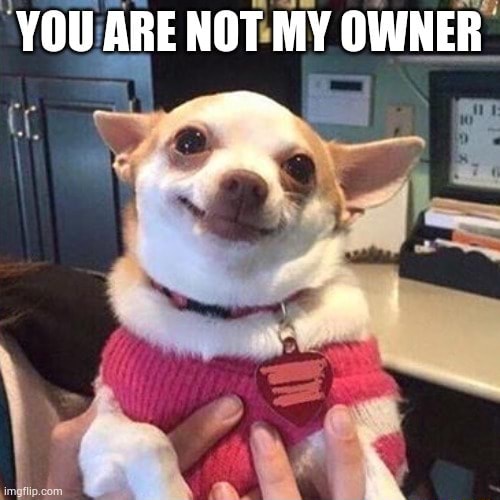 YOU ARE NOT MY OWNER - iFunny