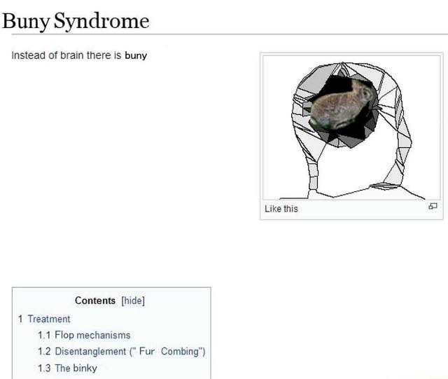 Buny Syndrome Instead of brain there is bunny Like this Contents [hide ...