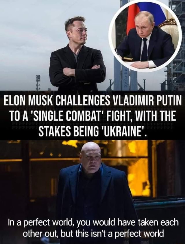 Let Them Fight - ELON MUSK CHALLENGES VLADIMIR PUTIN TO A 'SINGLE ...