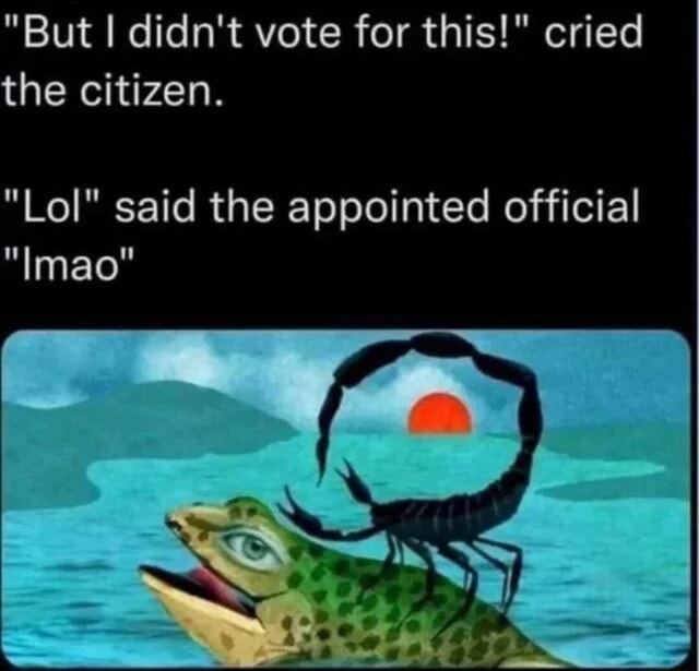but-i-didn-t-vote-for-this-cried-the-citizen-lol-said-the
