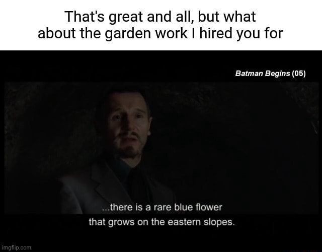 That's great and all, but what about the garden work I hired you for Batman  Begins (05) there is a rare blue flower that grows on the eastern slopes -  iFunny Brazil