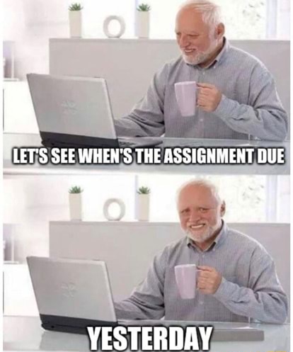 assignment due meme