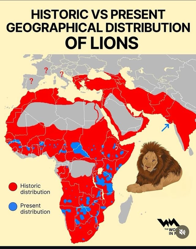 Historic Vs Present Geographical Distribution Of Lions Historic