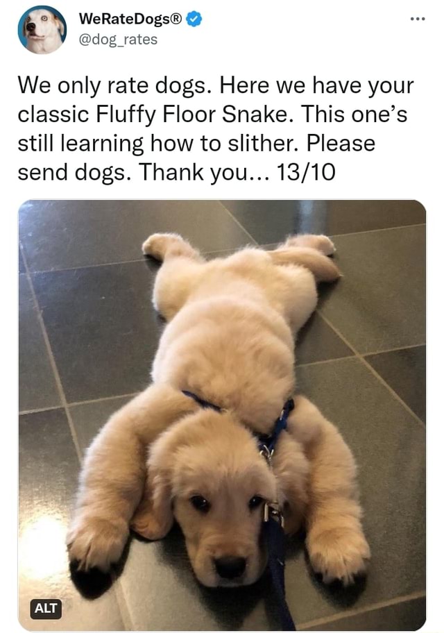 We only rate dogs. Here we have your classic Fluffy Floor Snake. This