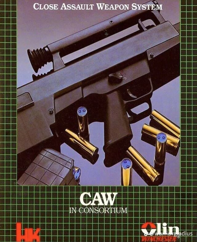 Close Assault Weapon System Caw