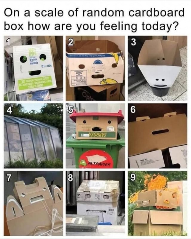 On scale of random cardboard box how are you feeling today? - iFunny