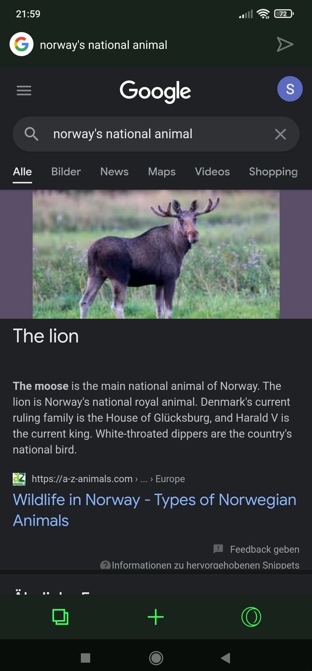 All norway's national animal Google norway's national animal Alle Bilder  News Maps Videos Shopping The lion The moose is the main national animal of  Norway. The lion is Norway's national royal animal.