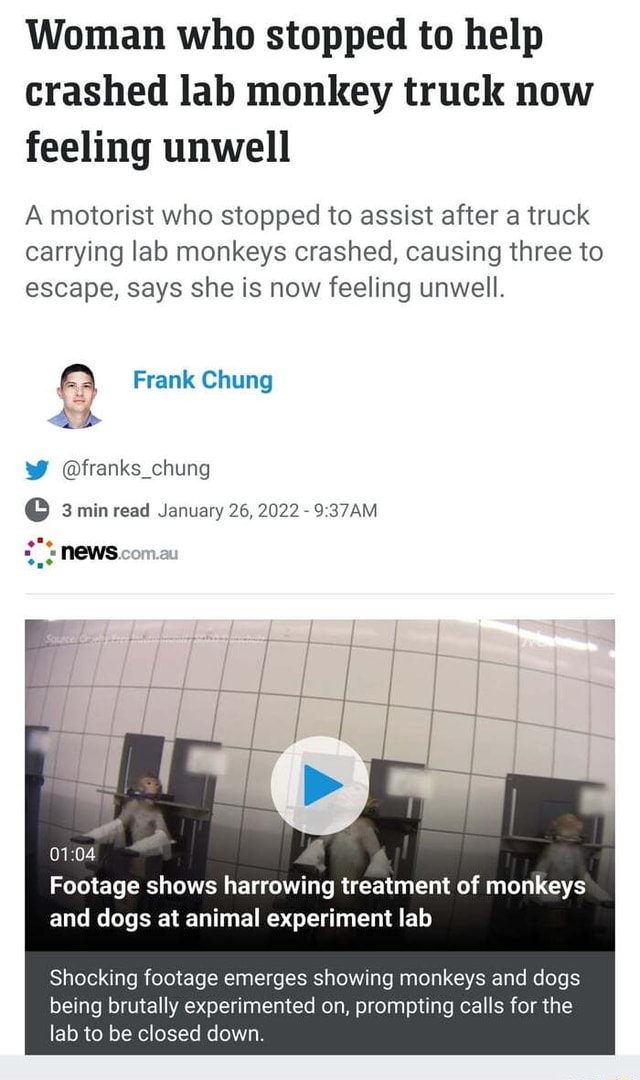 Woman who stopped to help crashed lab monkey truck now feeling unwell A