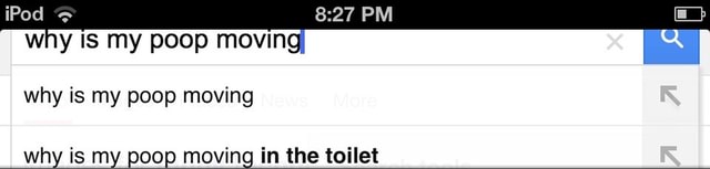 why-is-my-poop-moving-why-is-my-poop-moving-in-the-toilet