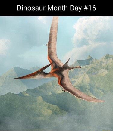 Dinosaur Month Day #16 - iFunny