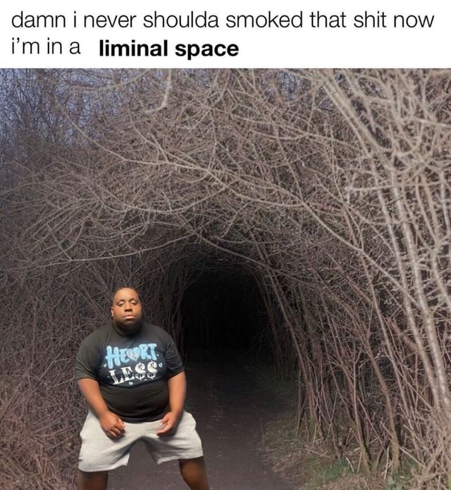 Damn i never shoulda smoked that shit now mina liminal space th. VF- de ...