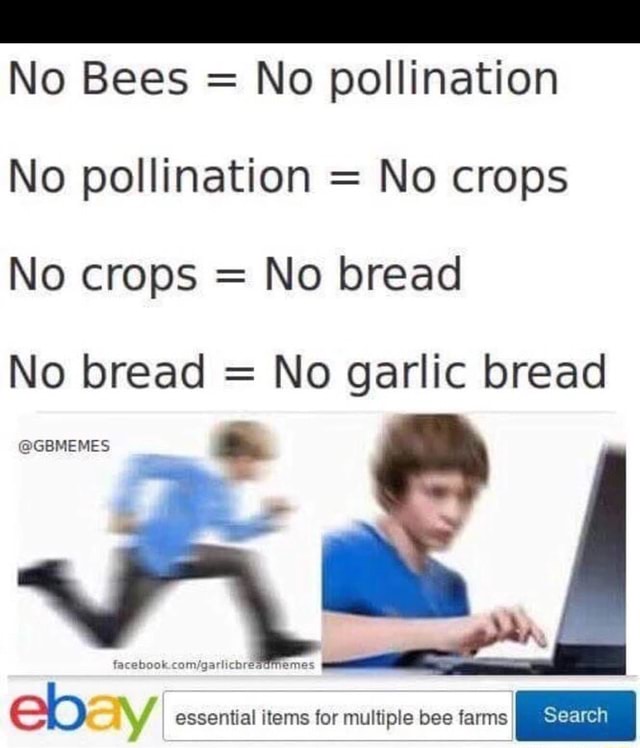 No Bees = No pollination No pollination = No crops No crops = No bread