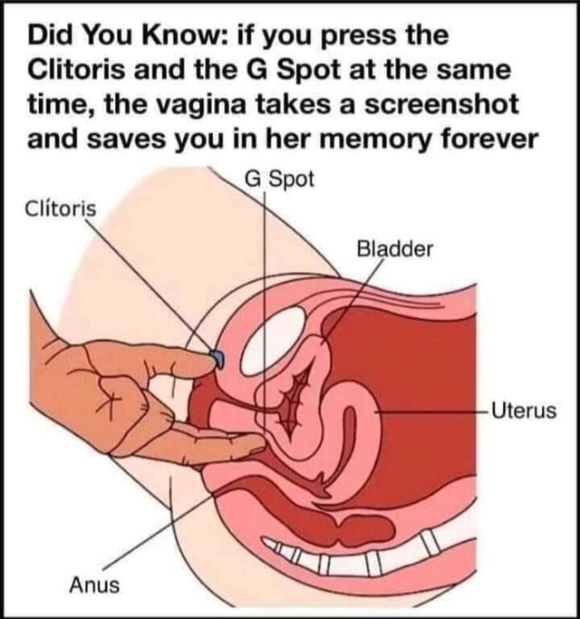 Did You Know If You Press The Clitoris And The G Spot At The Same Time The Vagina Takes A Screenshot And Saves You In Her Memory Forever G Spot Uterus Clitoris