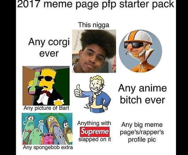 17 Meme Page Pfp Starter Pack Any Corgi Ever Any Anime Bitch Ever º Anything With Any Big Meme Page S Rapper S Sappe On It Profile Pic Ifunny