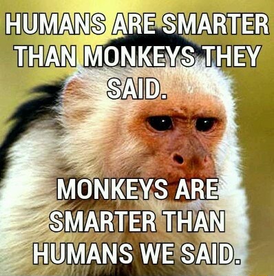 HUMANS ARE SMARTER THAN MONKEY$ THEY MONKEYS ARE SMARTER THAN HUMANS WE ...