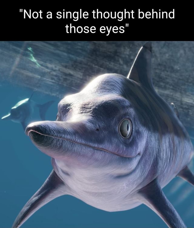 Not A Single Thought Behind Those Eyes Ifunny