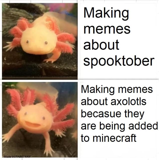I Making Memes About Spooktober Making Memes About Axolotls Becasue They Are Being Added To Minecraft Ifunny
