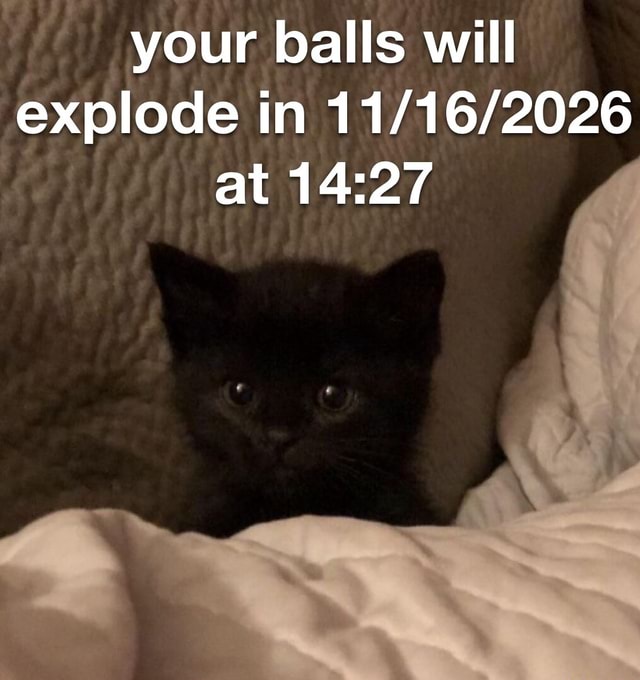 Your balls will explode in at iFunny Brazil