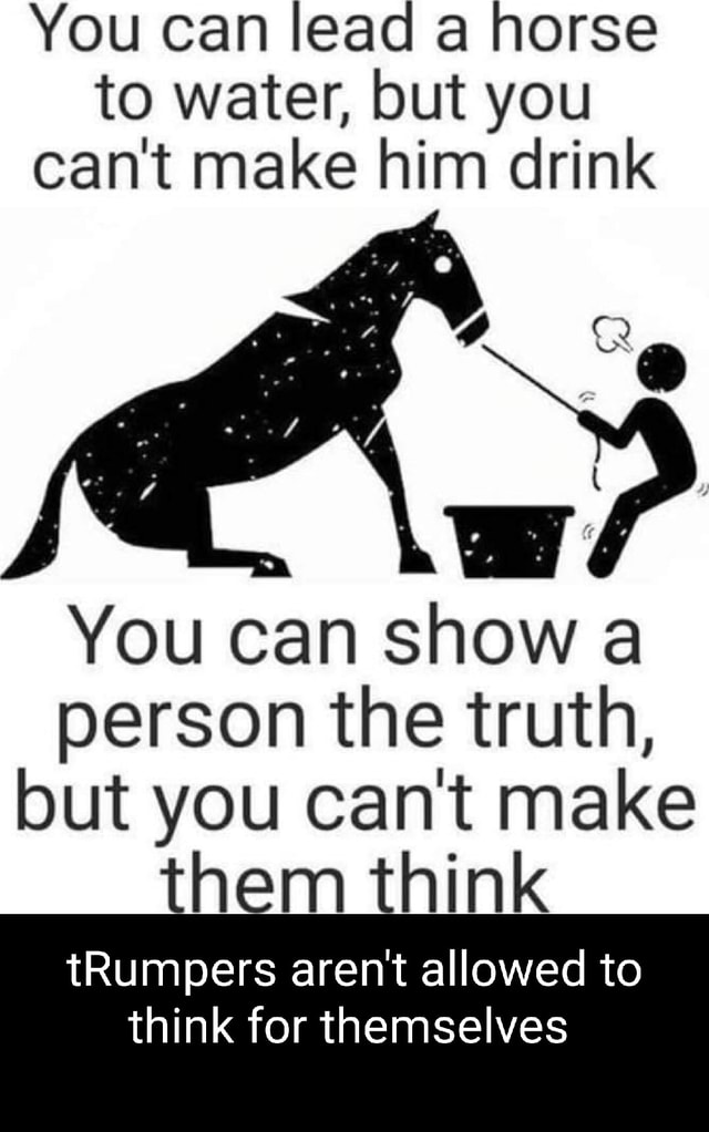 You can lead a horse to water, but you cant make him drink I You can ...